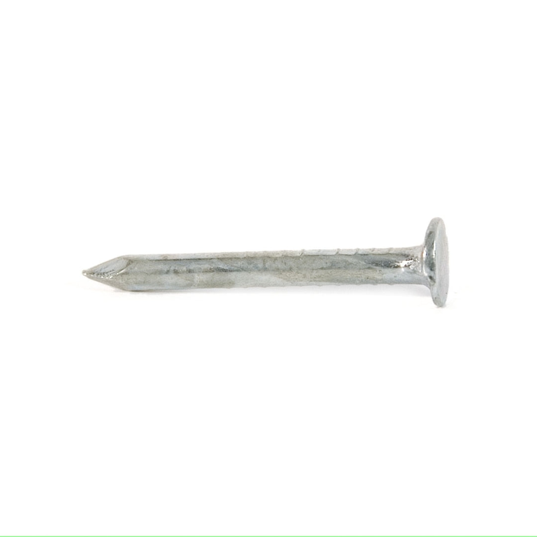 Clout Nail 50mm (50g)