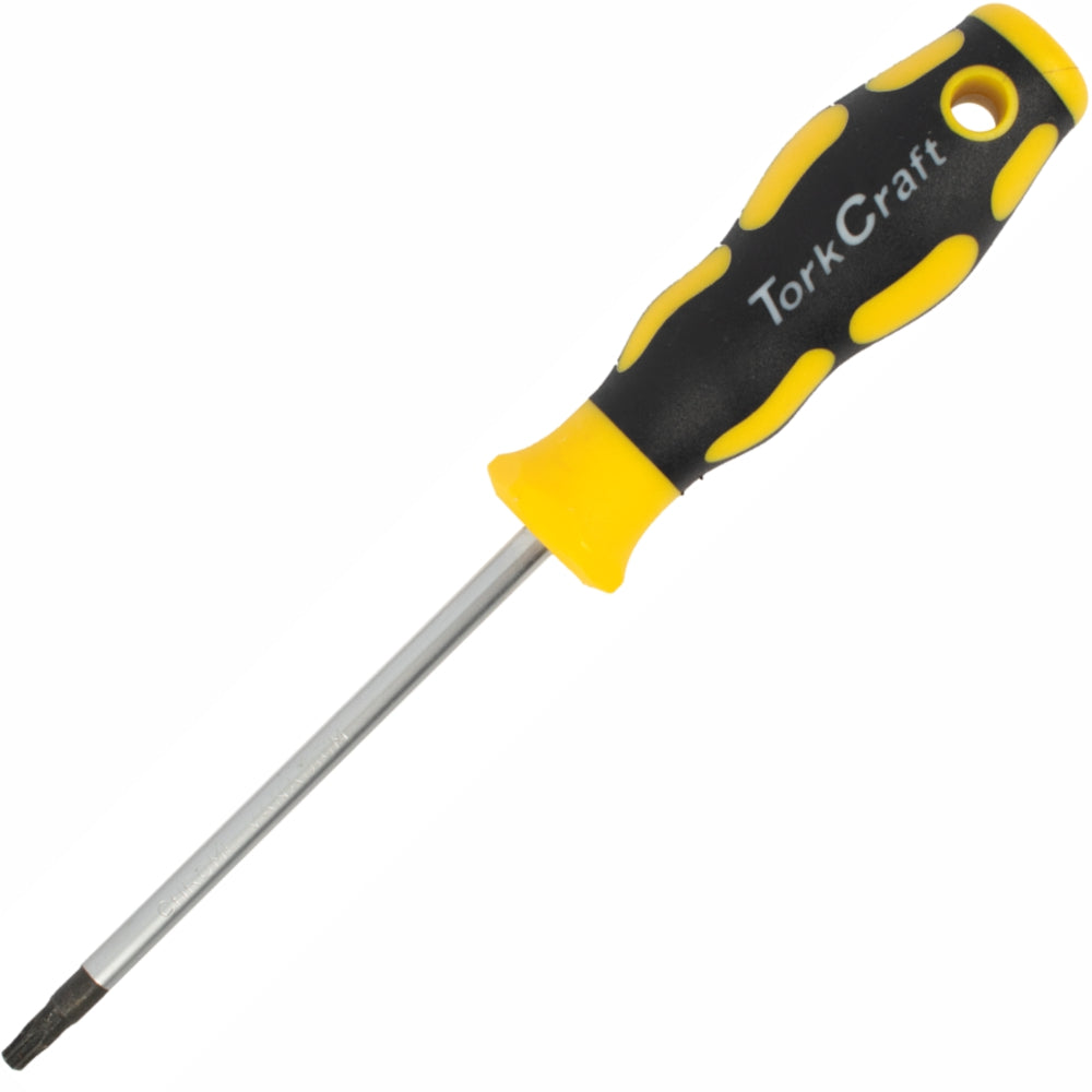 SCREWDRIVER TORX T20 5 X100MM