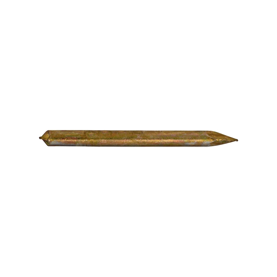 Picture Nail & Cap - Small  (15)