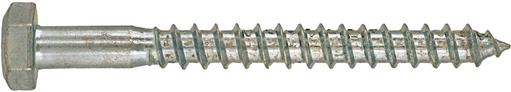Stainless Steel Coach Screws 10x60mm (5)