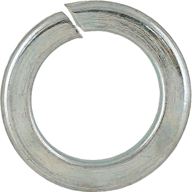 Stainless Steel Spring Washer 10mm (5)