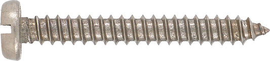 Stainless Steel Self Tapper Pan Head 4.8x50mm (10)